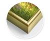 Aluminium Frame Gold 40 x 50 cm - Painting by Numbers