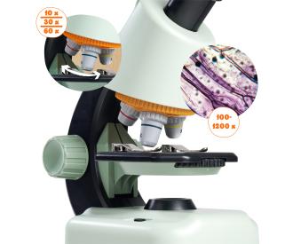 Scout Microscope