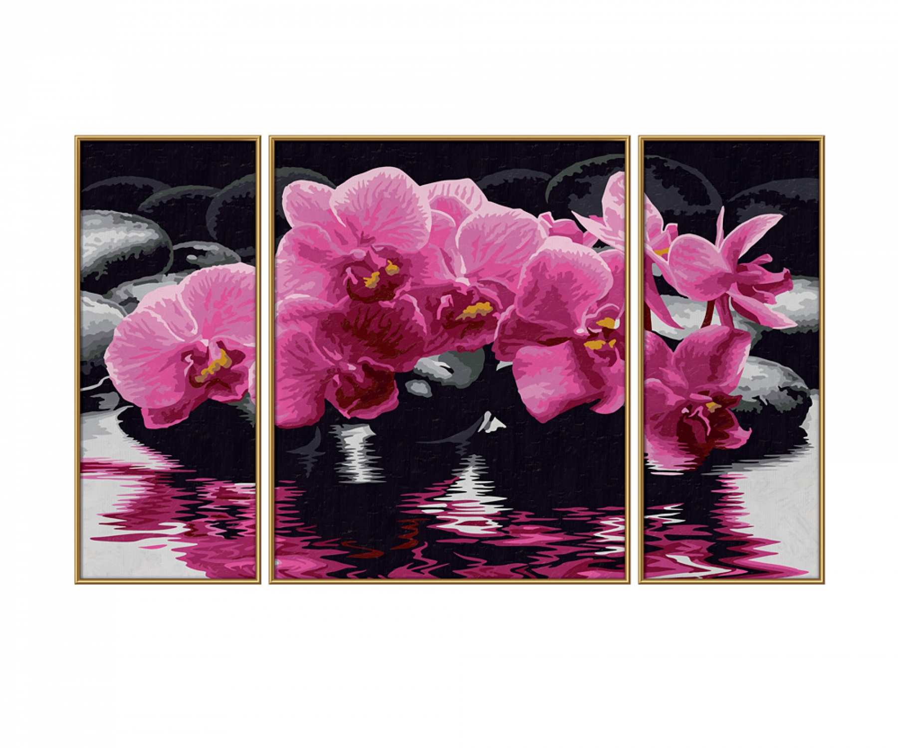 Malen Nach Zahlen Orchidee Für Erwachsene – 40x50 Cm Leinwand-Set Mit Pinseln & Farben