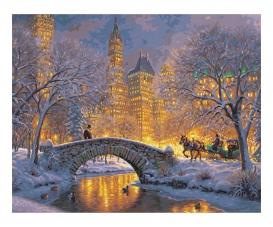 Silent Night in Central Park 40 x 50 cm - Painting by Numbers