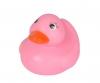 Canards de bain ABC