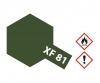 XF-81 Flat Dark Green 2 RAF, acrylic paint