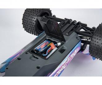 1:10 Race Dragon FE 2.4G 100% RTR