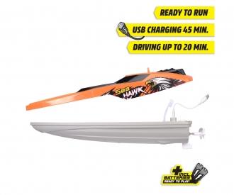 RC Sea Hawk, RTR