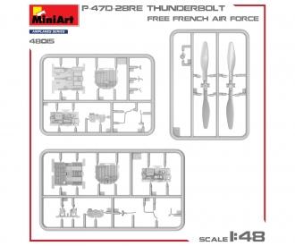 1:48 P47D-28RE französische Luftwaffe Basic Kit