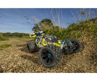 1:8 King of Dirt Buggy V25 GP RTR