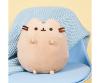 Pusheen sitting