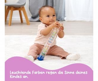 Rain Stick Rattle Toy