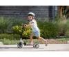 Smoby Wooden 3 wheels foldable scooter