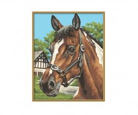 Horse Portrait 24 x 30 cm - Painting by Numbers