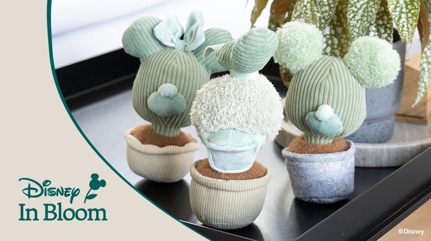 simba disney in bloom shopbanner