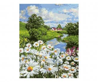Meadow with Daisies 24 x 30 cm - Painting by Numbers