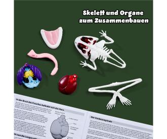 Scout Dissect-It Frog – Kit de dissection grenouille