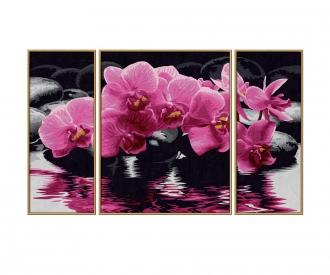 Malen Nach Zahlen Orchidee Für Erwachsene – 40x50 Cm Leinwand-Set Mit Pinseln & Farben