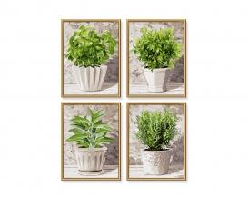 Culinary Herbs - painting by numbers Culinary Herbs - painting by numbers