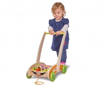 EH Activity Walker