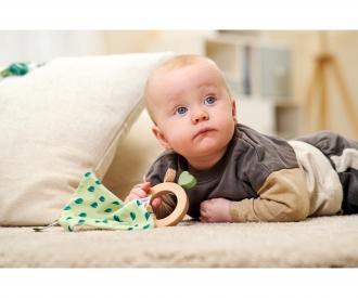 EH Baby HiPP Grasping Toy