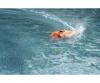 Race Shark FD 2.4G 100% RTR orange