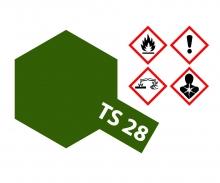TS-28 Olive Drab 2 Flat, spray paint, 100 ml