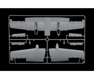 1:48 A-10C " Blacksnakes " (Noyaux noirs)