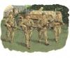 1:35 U.S.Infantry 2nd armored Division