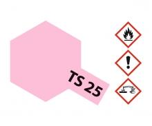 TS-25 Pink Gloss, spray paint, 100 ml aerosol