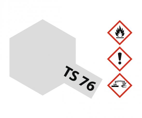TS-76 Mica Silver, spray paint, 100 ml gloss