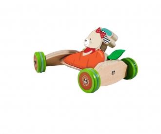 Eichhorn Friends Push Vehicel