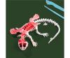 Scout Dissect-It Salamandre