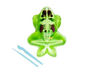 Scout Dissect-It Frosch