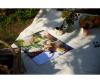 Paradisal Garden 40 x 50 cm - Painting by Numbers