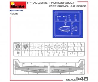 1:48 P47D-28RE französische Luftwaffe Basic Kit