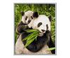 Panda Bears 24 x 30 cm - Painting by Numbers