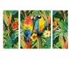 Parrots in the rain forest Triptych - Painting by Numbers