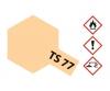 TS-77 Flat Flesh 2, spray paint, 100 ml