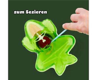 Scout Dissect-It Frog – Kit de dissection grenouille