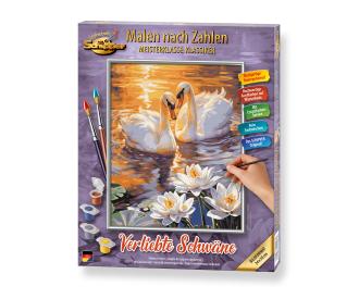 Swans in love Painting by numbers