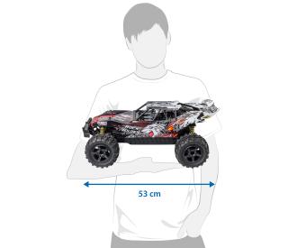 1:8 Rock Wilder, RC car, 100% RTR