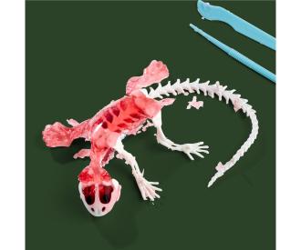 Scout Dissect-It Salamandre