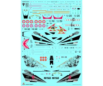 1:48 Mirage F1 C/CR
