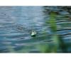 RC Jet Ski 2.4GHz, watercraft, Ready to Run