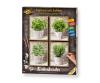 Culinary Herbs Quattro - Painting by Numbers