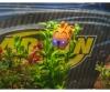 XS Deep Sea Dragon, RC submarine, 100%RTR