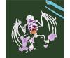 Scout Dissect-It Bat – Kit anatomie chauve-souris