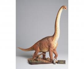 Brachiosaurus Diorama Brachiosaurus Diorama