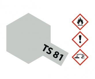TS-81 British Navy Grey, spray paint, 100 ml