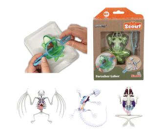 Scout Dissect-It Mini Lab, 3 versions