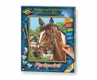 Horse Portrait 24 x 30 cm - Painting by Numbers