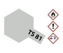 TS-81 British Navy Grey, spray paint, 100 ml