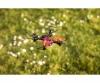 X4 Quadcopter Angry Bug 2.0, RC quadcopter, RTF